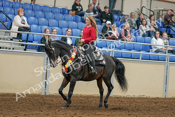 2020 - AB Morgan Horse - Sat, Sept 05 - 10354