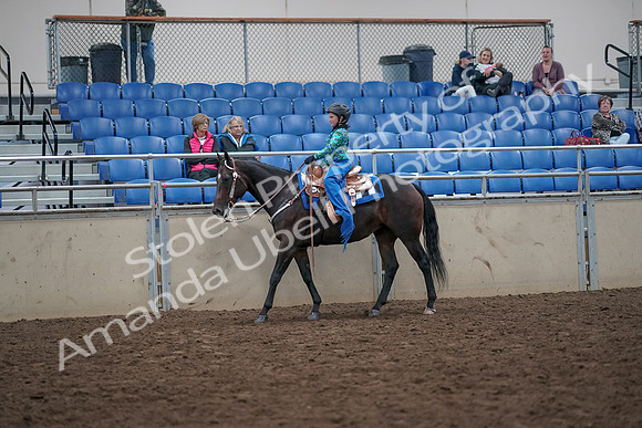 2019 Morgan Horse Show - Aug 31, 2019 - 16312
