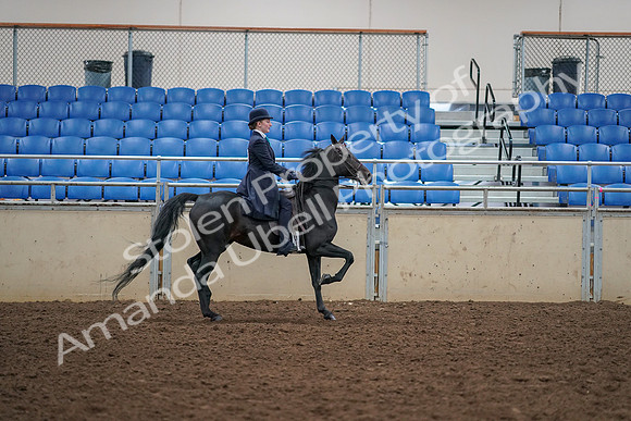 2019 Morgan Horse Show - Aug 30, 2019 - 12389