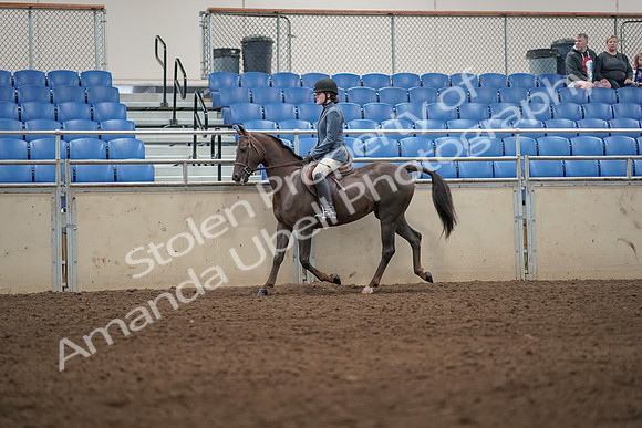 2019 Morgan Horse Show - Aug 31, 2019 - 04899