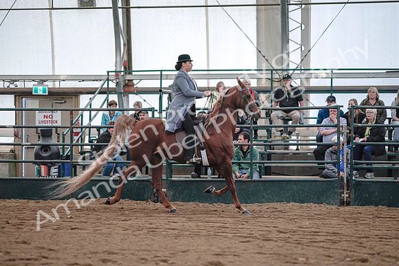 July 20, 2019 - 17150