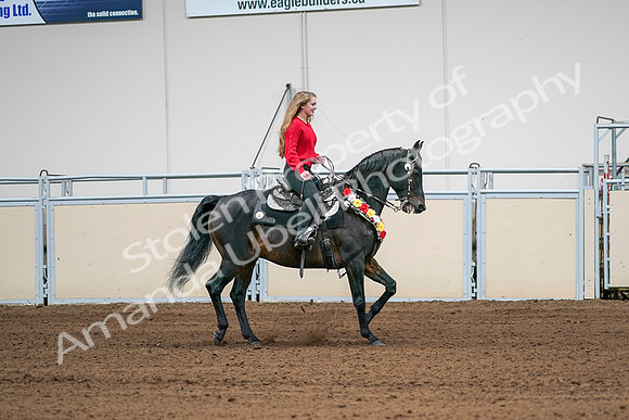 2020 - AB Morgan Horse - Sat, Sept 05 - 10473