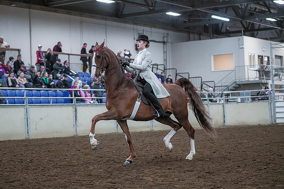 Spring Fling - Saturday - April 20, 2019  -  00411