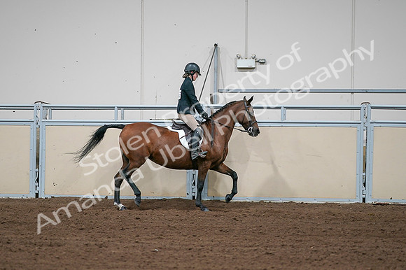 2020 - AB Morgan Horse - Fri, Sept 04 - 02135