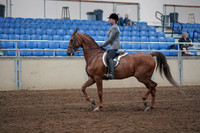2019 Morgan Horse Show - Sept 01, 2019 - 12164