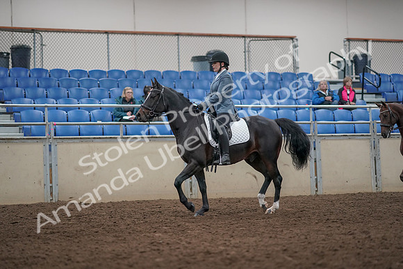 2019 Morgan Horse Show - Aug 31, 2019 - 07235