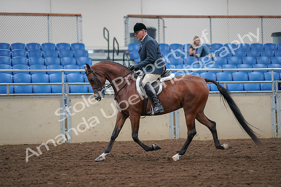 2019 Morgan Horse Show - Aug 30, 2019 - 16131