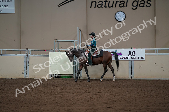 2019 Morgan Horse Show - Aug 30, 2019 - 26026