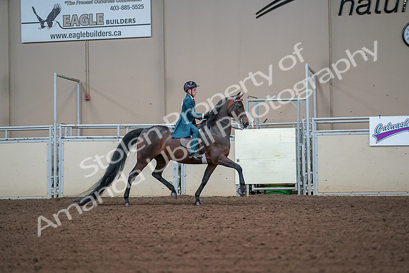 2019 Morgan Horse Show - Aug 30, 2019 - 18013
