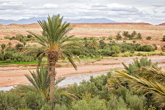 Morocco - 076