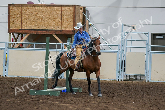 2020 - AB Morgan Horse - Fri, Sept 04 - 00260