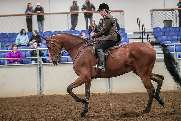 Spring Fling - Saturday - April 20, 2019  -  04607