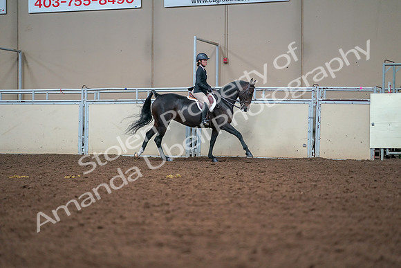 2019 Morgan Horse Show - Aug 30, 2019 - 21084