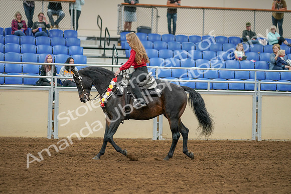 2020 - AB Morgan Horse - Sat, Sept 05 - 10373