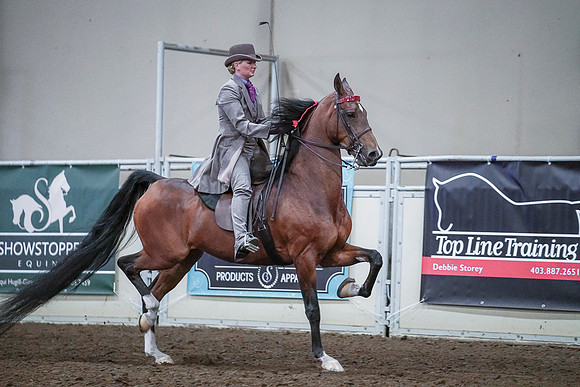 Spring Fling - Saturday - April 20, 2019  -  00503