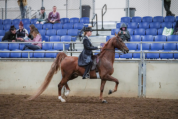 Spring Fling - Saturday - April 20, 2019  -  04422