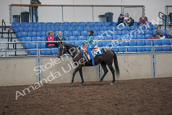 2019 Morgan Horse Show - Aug 31, 2019 - 16310