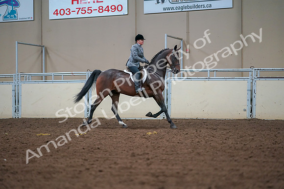 2019 Morgan Horse Show - Aug 30, 2019 - 20925