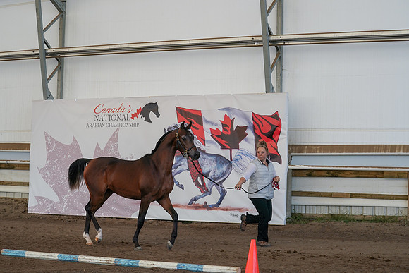 2022 - CNAC - Sept 27 - 01258