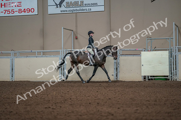 2019 Morgan Horse Show - Aug 31, 2019 - 05150