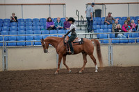 2019 Morgan Horse Show - Aug 30, 2019 - 25876