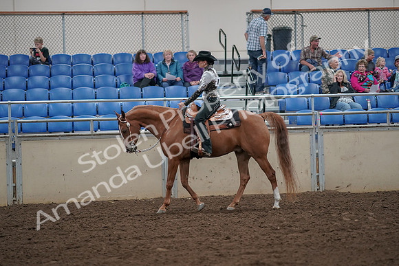 2019 Morgan Horse Show - Aug 30, 2019 - 25876