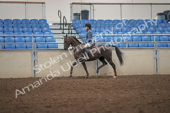 2019 Morgan Horse Show - Aug 31, 2019 - 04903