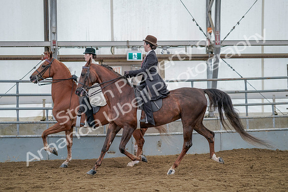 July 20, 2019 - 14593