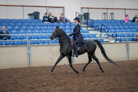 2019 Morgan Horse Show - Aug 31, 2019 - 17999