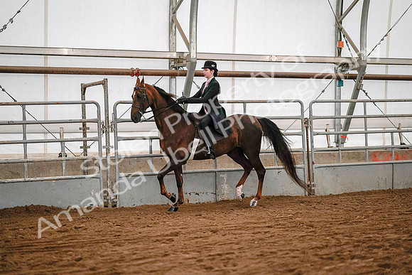 July 19, 2019 - 8656