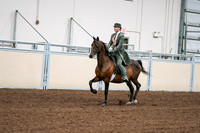 2020 - AB Morgan Horse - Fri, Sept 04 - 03284