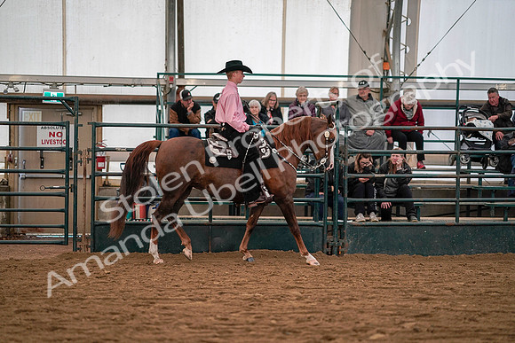 July 19, 2019 - 10095