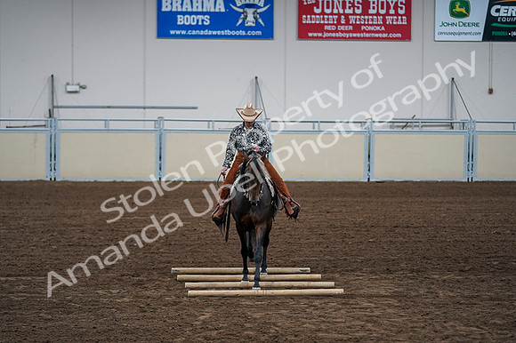 2020 - AB Morgan Horse - Fri, Sept 04 - 00436