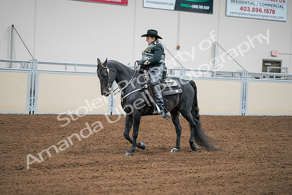 2020 - AB Morgan Horse - Sat, Sept 05 - 08957