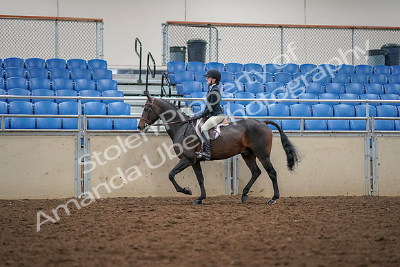 2019 Morgan Horse Show - Aug 30, 2019 - 23123