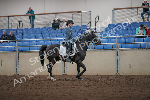 2019 Morgan Horse Show - Aug 31, 2019 - 07439