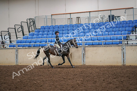 2019 Morgan Horse Show - Aug 30, 2019 - 12416
