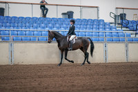 2019 Morgan Horse Show - Sept 01, 2019 - 03651