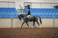 2019 Morgan Horse Show - Aug 30, 2019 - 23105