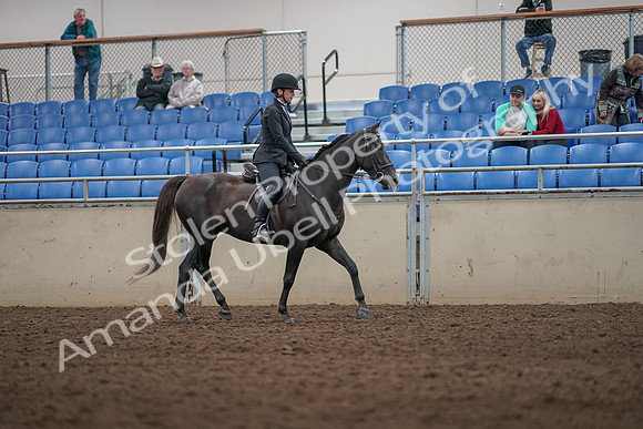 2019 Morgan Horse Show - Aug 31, 2019 - 07385