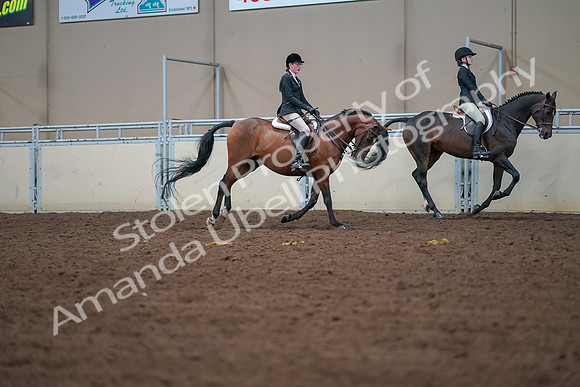 2019 Morgan Horse Show - Aug 30, 2019 - 20991
