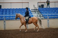 2019 Morgan Horse Show - Aug 30, 2019 - 22183