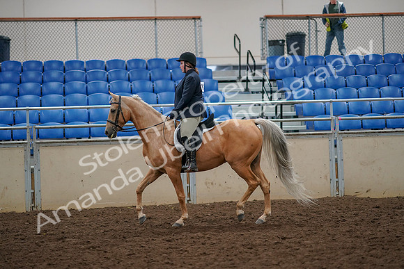 2019 Morgan Horse Show - Aug 30, 2019 - 22183