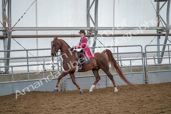July 20, 2019 - 14492