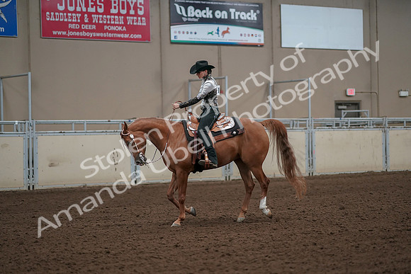 2019 Morgan Horse Show - Aug 30, 2019 - 26047