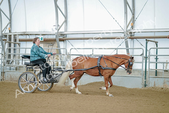 July 21, 2019 - 09347