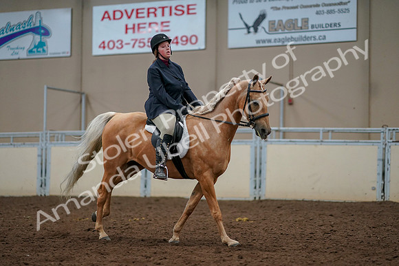 2019 Morgan Horse Show - Aug 30, 2019 - 22530