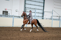 2020 - AB Morgan Horse - Sat, Sept 05 - 12084