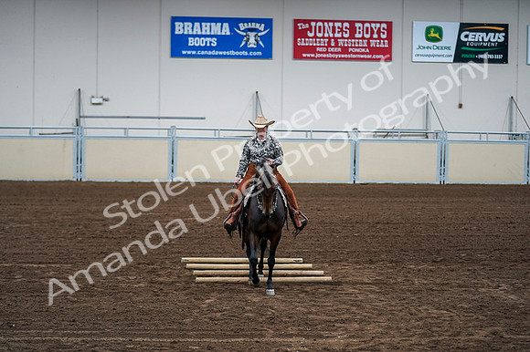 2020 - AB Morgan Horse - Fri, Sept 04 - 00441
