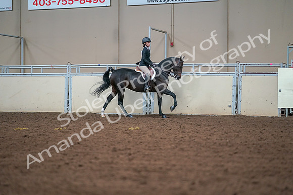 2019 Morgan Horse Show - Aug 30, 2019 - 21083